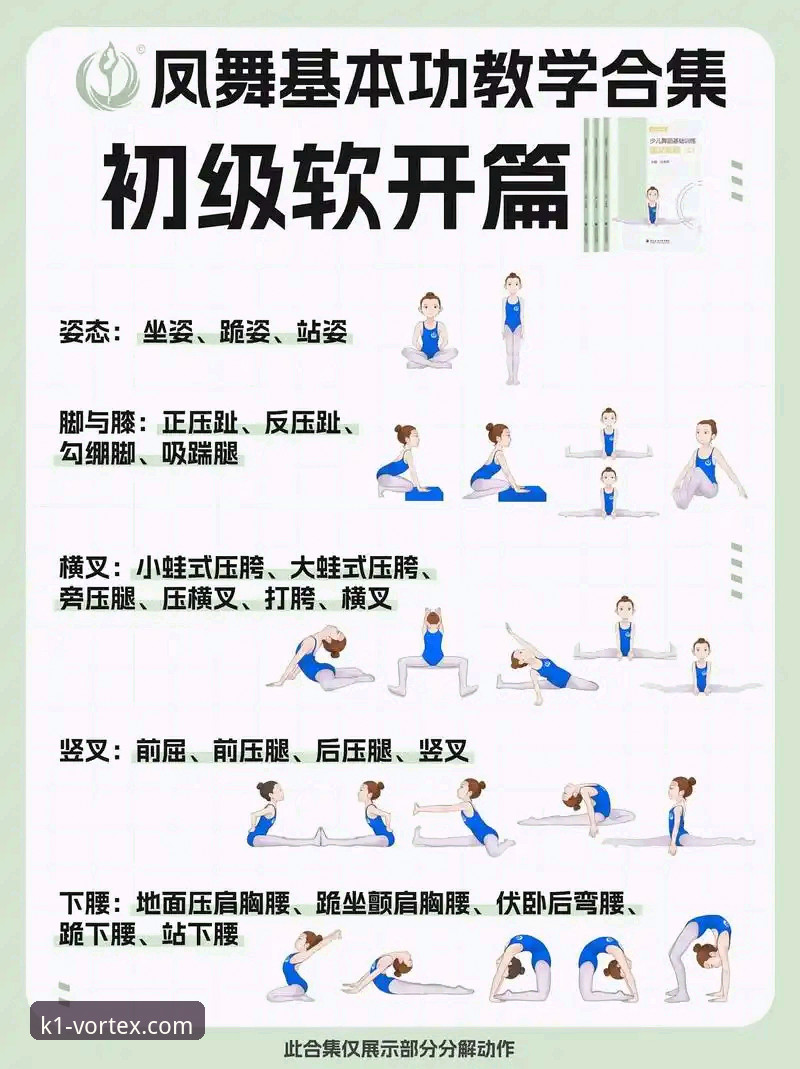 K1体育2025版 K1体育2025版全面解析:新手从入门到精通的操作指南